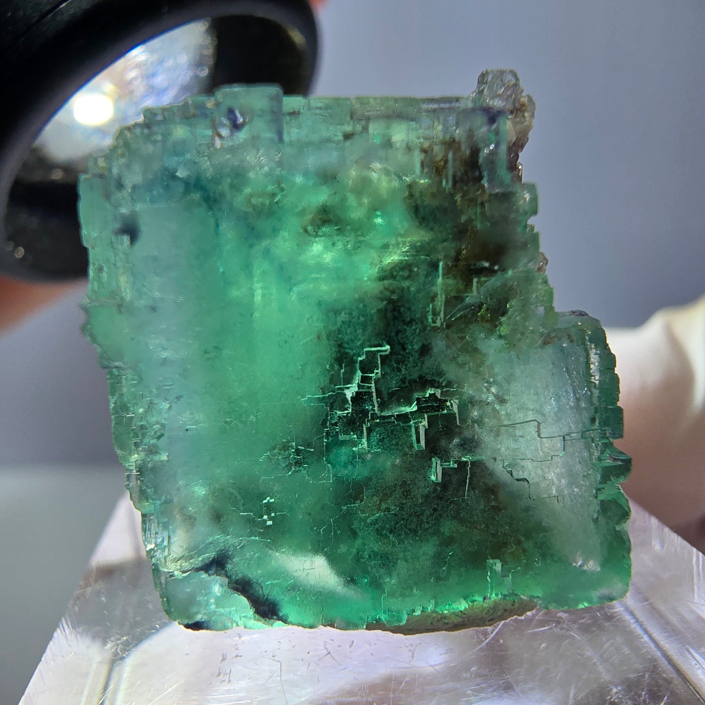 Spécimen de cube de fluorite fantôme, vert parqueté Okorusu, Namibie 25*20*19mm 