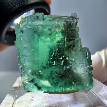 Spécimen de cube de fluorite fantôme, vert parqueté Okorusu, Namibie 25*20*19mm 