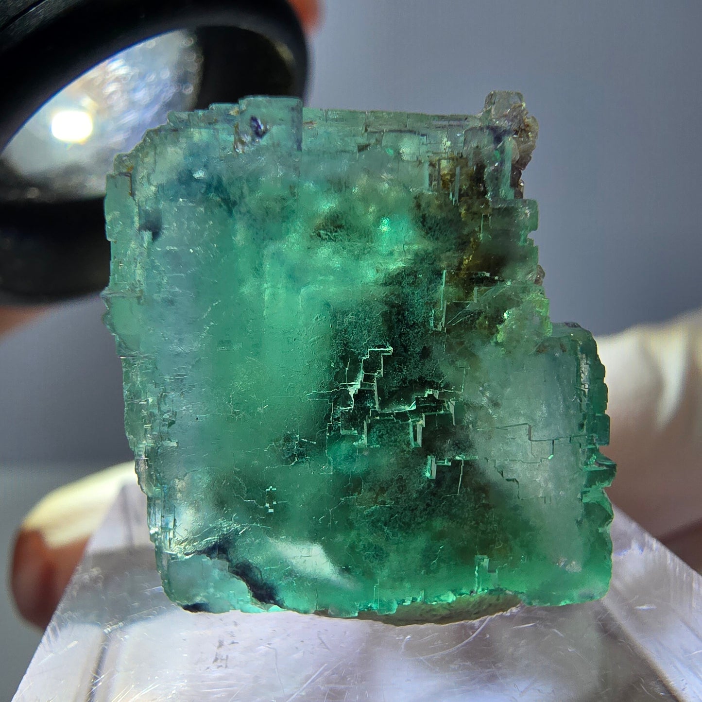 Spécimen de cube de fluorite fantôme, vert parqueté Okorusu, Namibie 25*20*19mm 