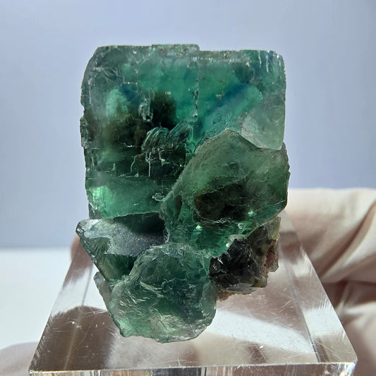 Spécimen de cube de fluorite fantôme, vert parqueté Okorusu, Namibie 27*20*19mm 