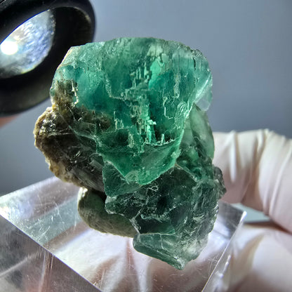 Spécimen de cube de fluorite fantôme, vert parqueté Okorusu, Namibie 27*20*19mm 