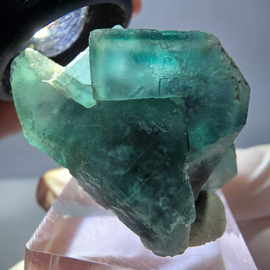 Spécimen de cube de fluorite fantôme, vert parqueté Okorusu, Namibie 35*30*24mm 
