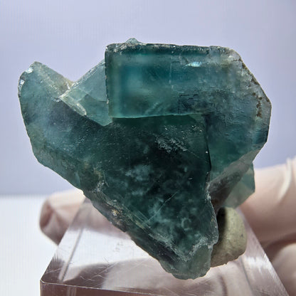 Spécimen de cube de fluorite fantôme, vert parqueté Okorusu, Namibie 35*30*24mm 
