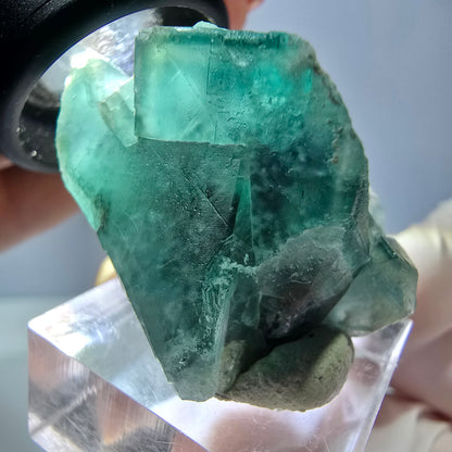 Spécimen de cube de fluorite fantôme, vert parqueté Okorusu, Namibie 35*30*24mm 