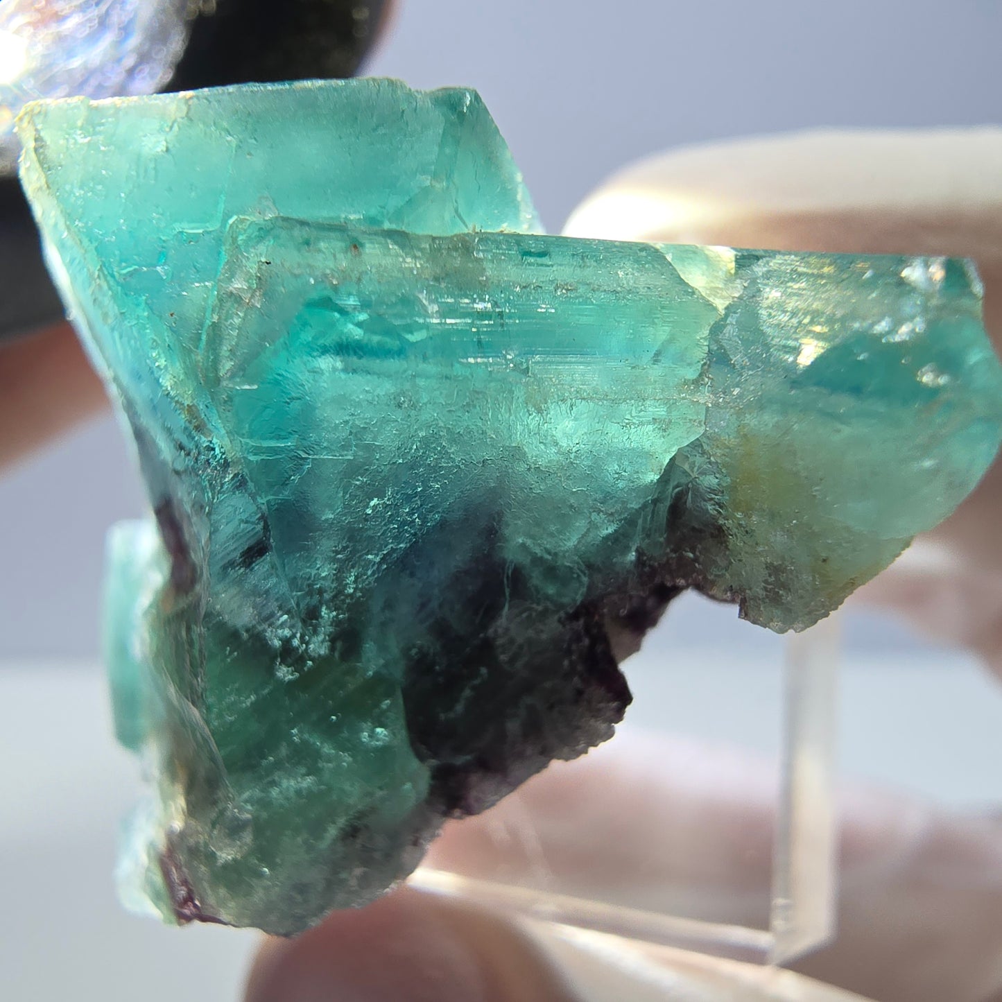 Spécimen de cube de fluorite fantôme, vert parqueté Okorusu, Namibie 35*30*24mm 