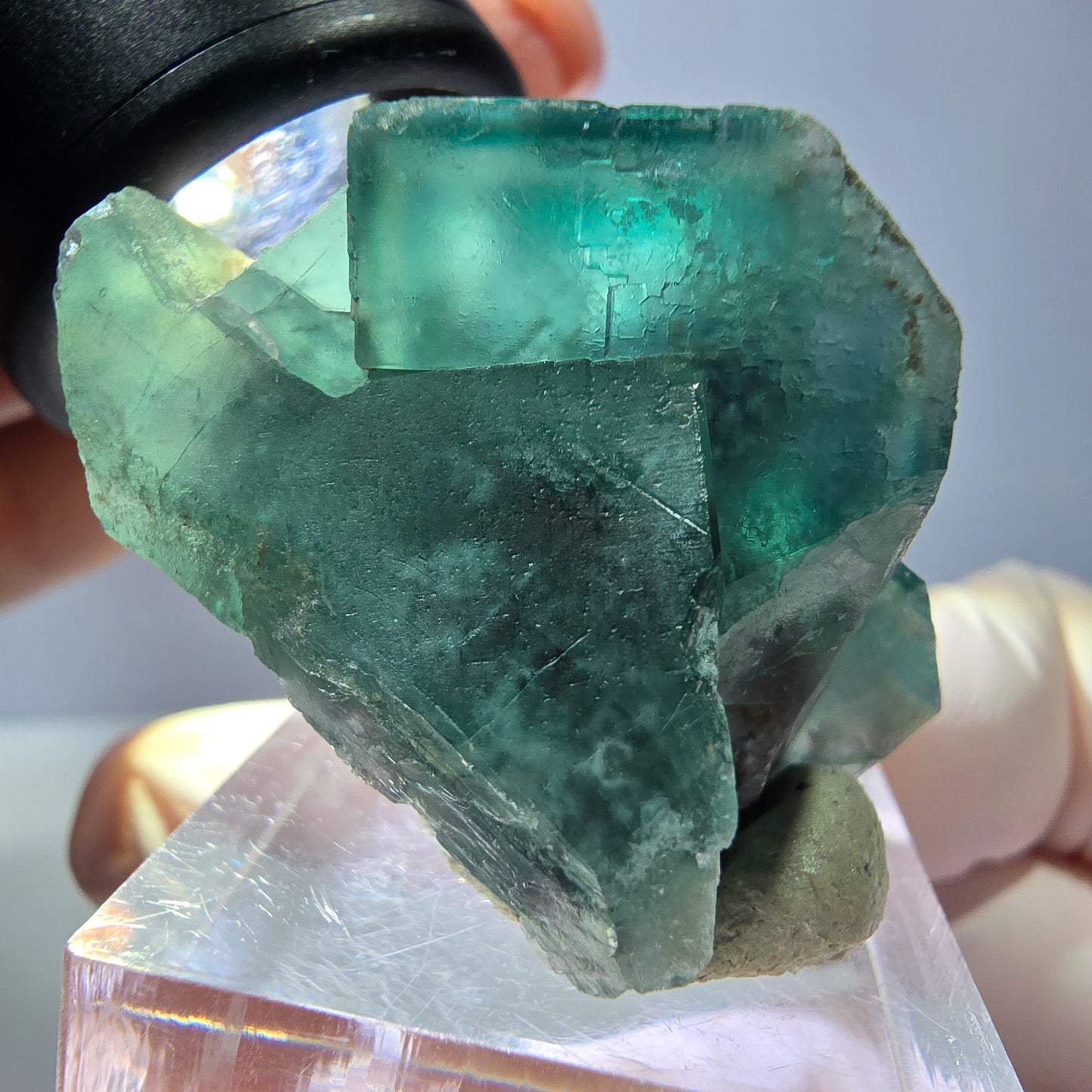 Spécimen de cube de fluorite fantôme, vert parqueté Okorusu, Namibie 35*30*24mm 