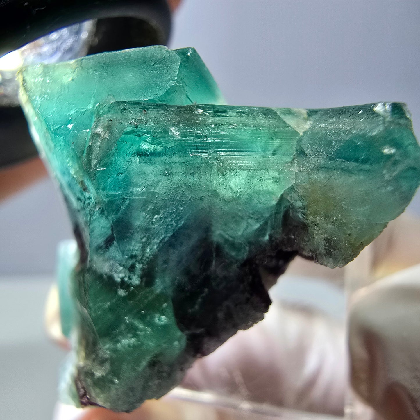 Spécimen de cube de fluorite fantôme, vert parqueté Okorusu, Namibie 35*30*24mm 