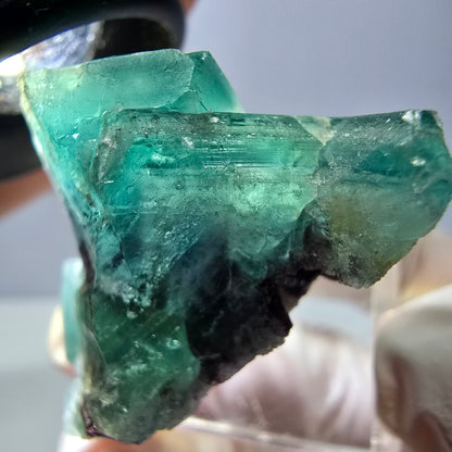 Spécimen de cube de fluorite fantôme, vert parqueté Okorusu, Namibie 35*30*24mm 