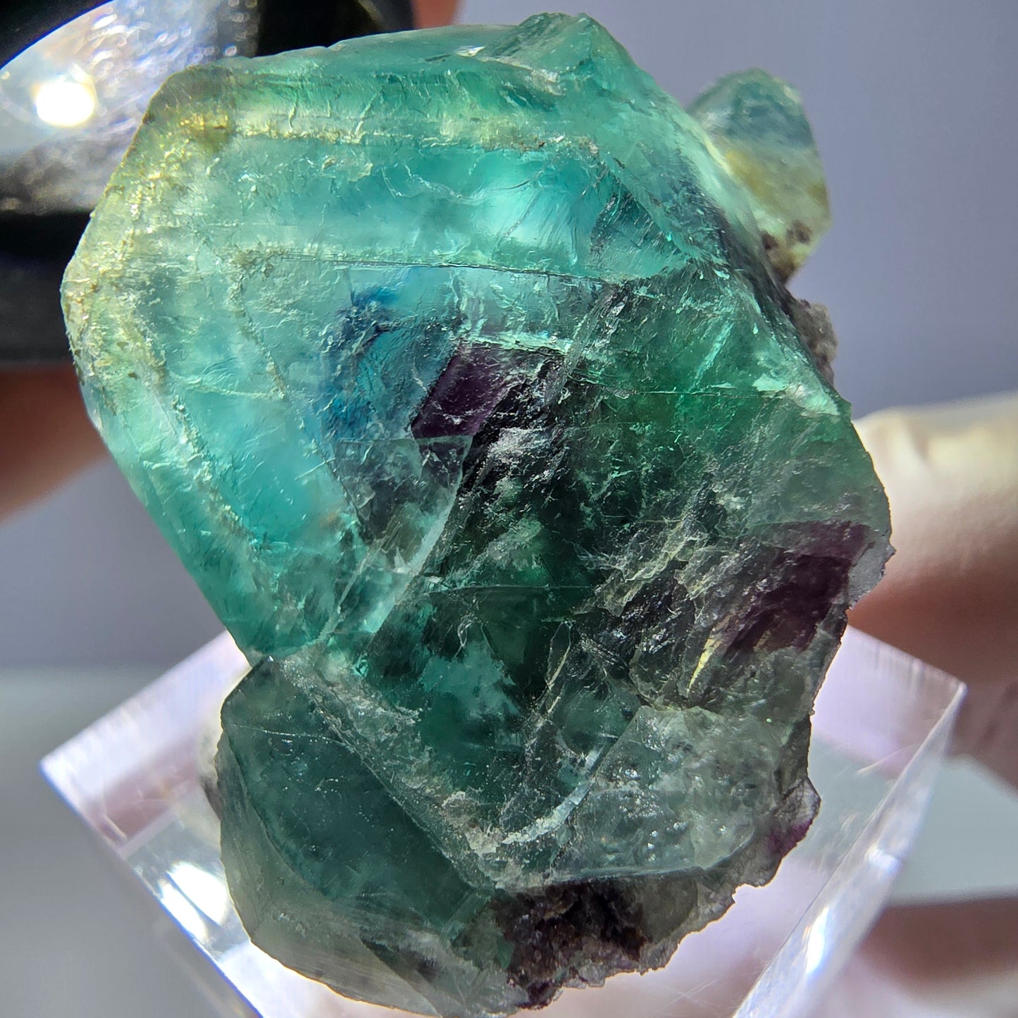 Spécimen de cube de fluorite fantôme, vert parqueté Okorusu, Namibie 35*30*24mm 