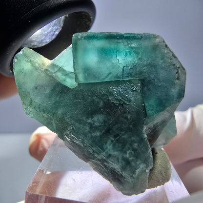 Spécimen de cube de fluorite fantôme, vert parqueté Okorusu, Namibie 35*30*24mm 