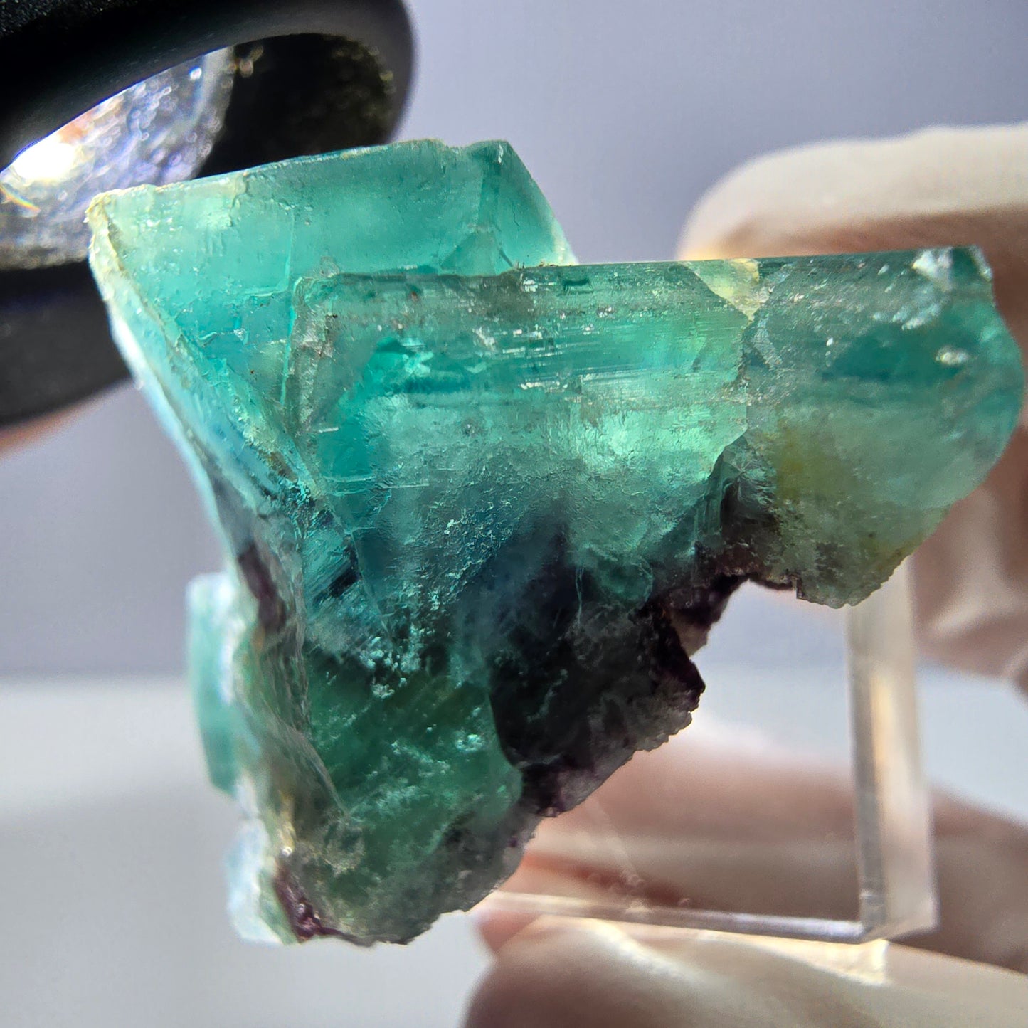 Spécimen de cube de fluorite fantôme, vert parqueté Okorusu, Namibie 35*30*24mm 