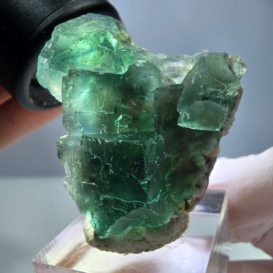 Spécimen de cube de fluorite fantôme, vert parqueté Okorusu, Namibie 39*31*16 mm 