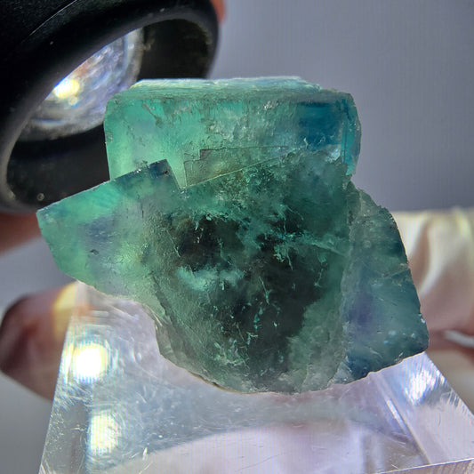 Spécimen de cube de fluorite fantôme, vert parqueté Okorusu, Namibie 22*20*20mm 