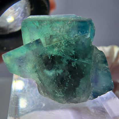 Spécimen de cube de fluorite fantôme, vert parqueté Okorusu, Namibie 22*20*20mm 