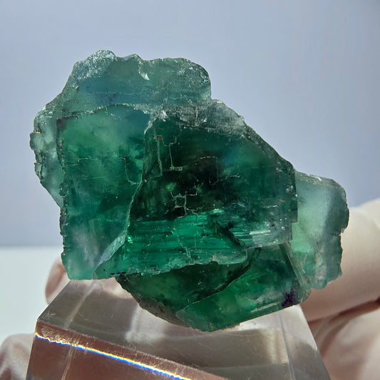 Spécimen de cube de fluorite fantôme, vert parqueté Okorusu, Namibie 39*25*20mm 