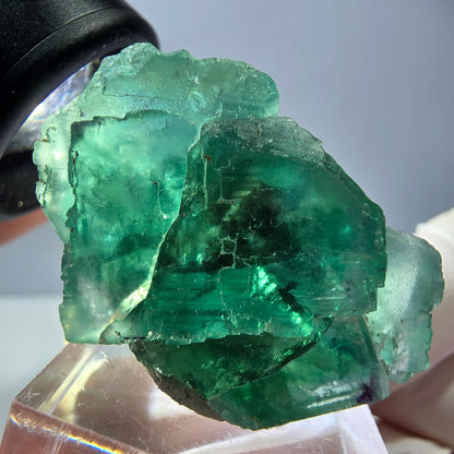 Spécimen de cube de fluorite fantôme, vert parqueté Okorusu, Namibie 39*25*20mm 
