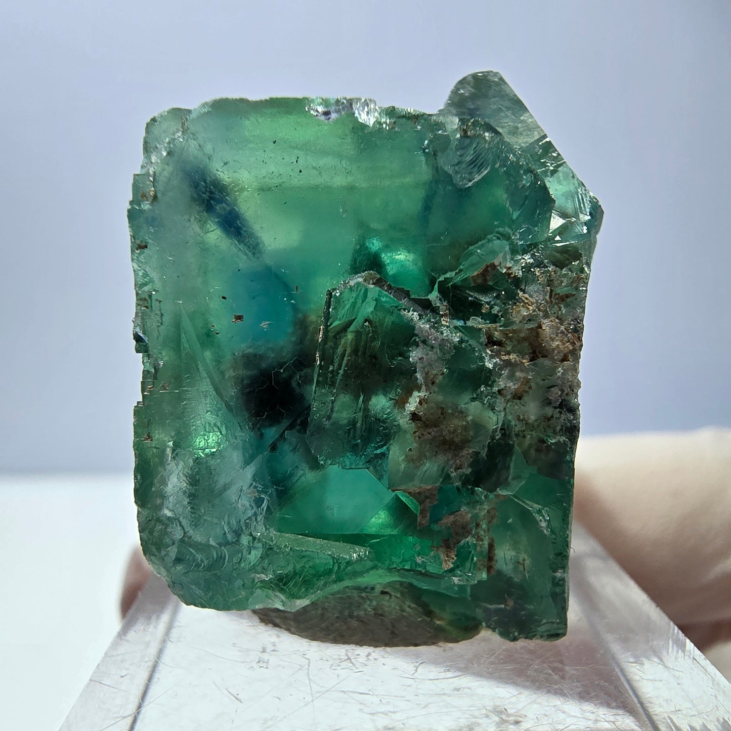 Spécimen de cube de fluorite fantôme, vert parqueté Okorusu, Namibie 30*29*24mm 