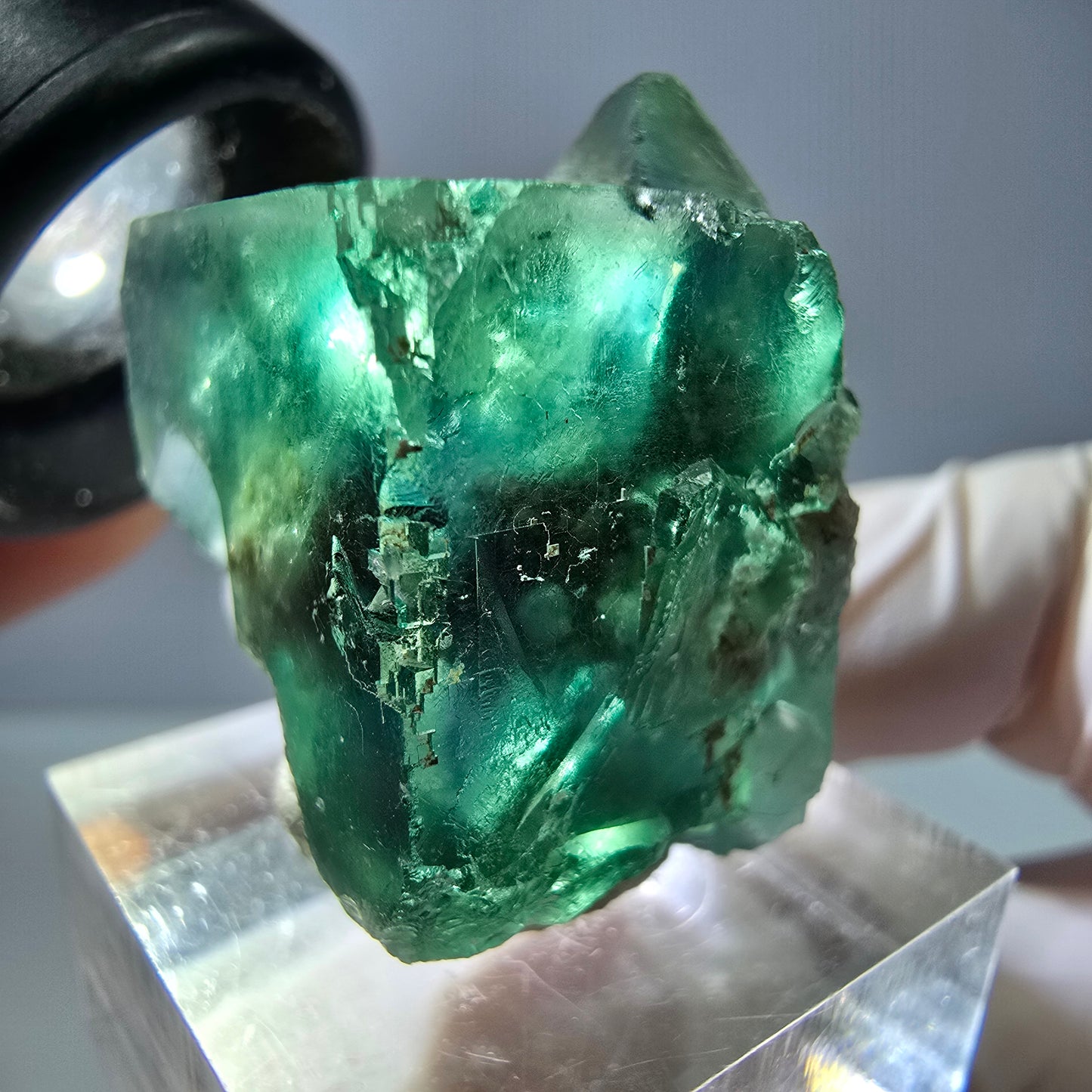 Spécimen de cube de fluorite fantôme, vert parqueté Okorusu, Namibie 30*29*24mm 