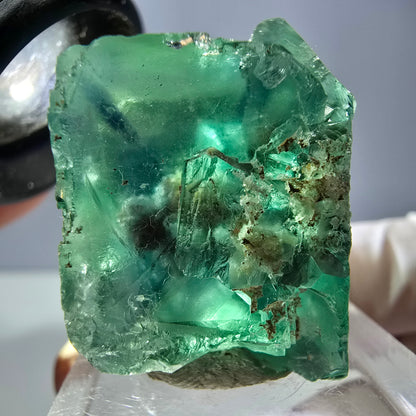 Spécimen de cube de fluorite fantôme, vert parqueté Okorusu, Namibie 30*29*24mm 