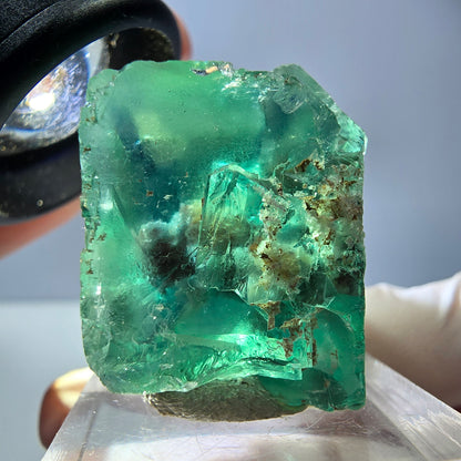 Spécimen de cube de fluorite fantôme, vert parqueté Okorusu, Namibie 30*29*24mm 