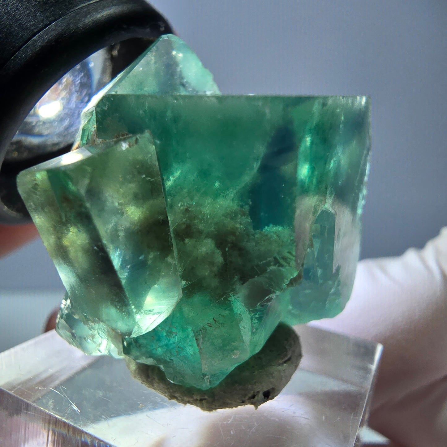 Spécimen de cube de fluorite fantôme, vert parqueté Okorusu, Namibie 30*29*24mm 