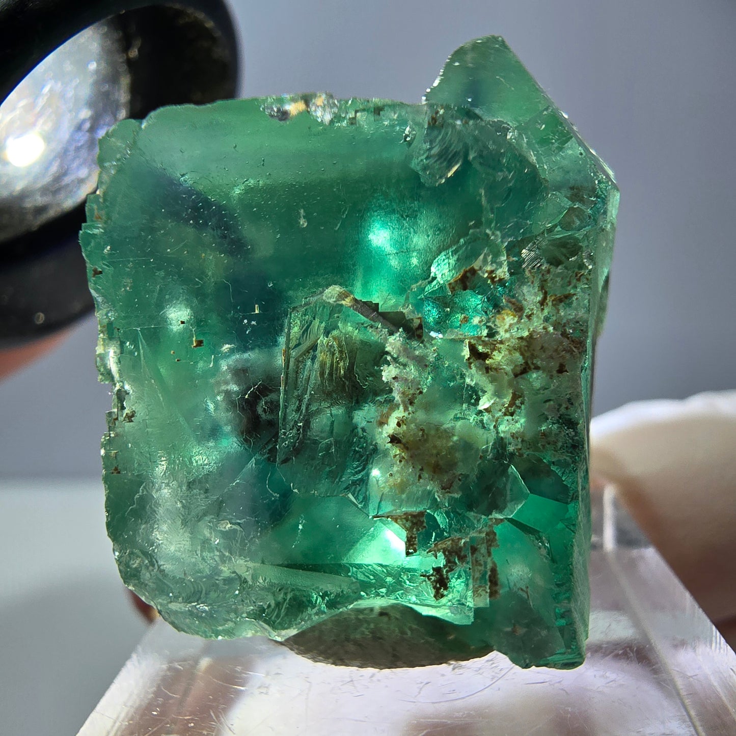 Spécimen de cube de fluorite fantôme, vert parqueté Okorusu, Namibie 30*29*24mm 