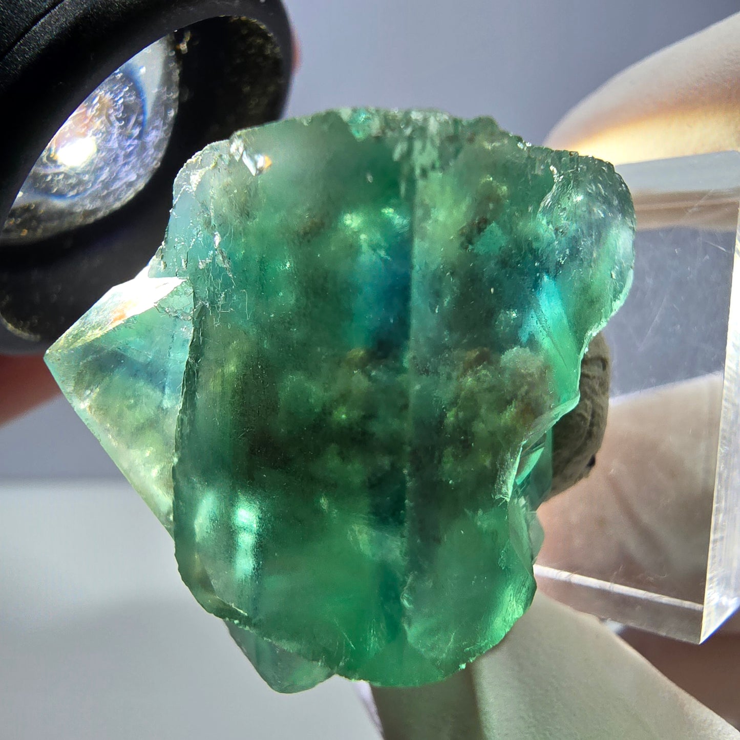 Spécimen de cube de fluorite fantôme, vert parqueté Okorusu, Namibie 30*29*24mm 