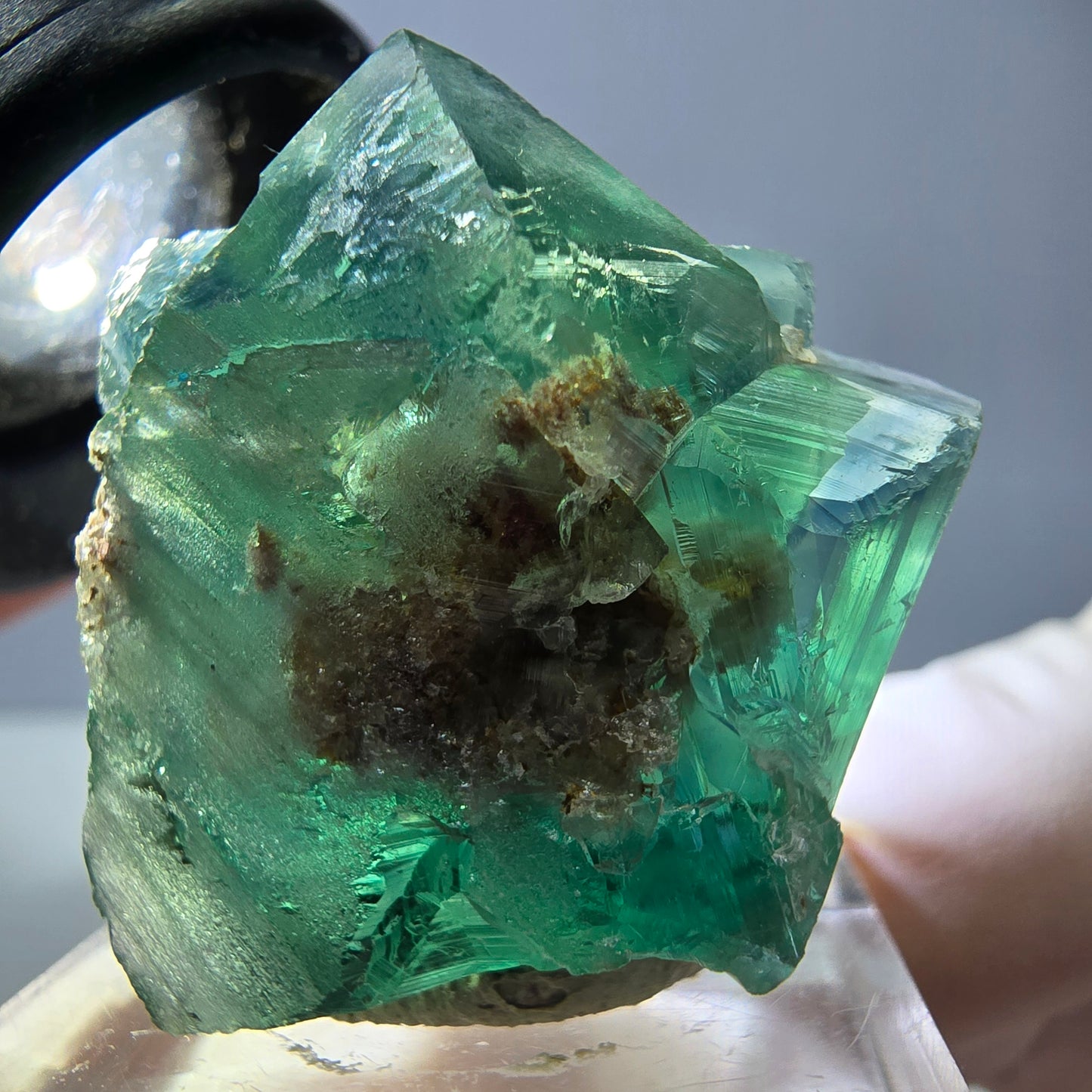 Spécimen de cube de fluorite fantôme, vert parqueté Okorusu, Namibie 30*29*24mm 