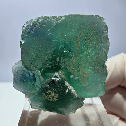 Spécimen de cube de fluorite fantôme, vert parqueté Okorusu, Namibie 32*32*24mm 