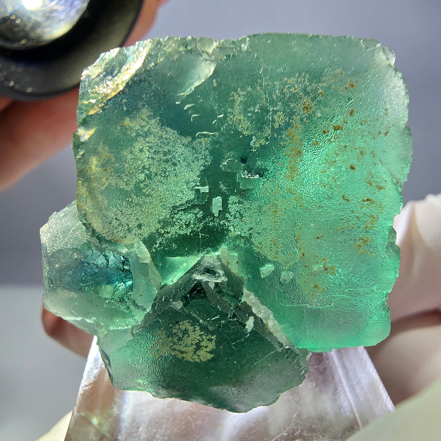 Spécimen de cube de fluorite fantôme, vert parqueté Okorusu, Namibie 32*32*24mm 