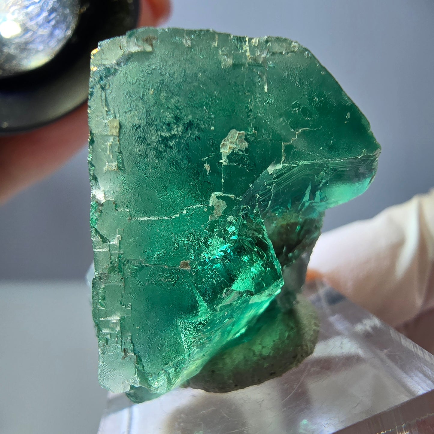 Spécimen de cube de fluorite fantôme, vert parqueté Okorusu, Namibie 32*32*24mm 