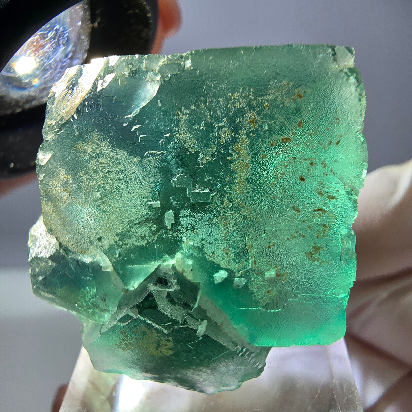 Spécimen de cube de fluorite fantôme, vert parqueté Okorusu, Namibie 32*32*24mm 