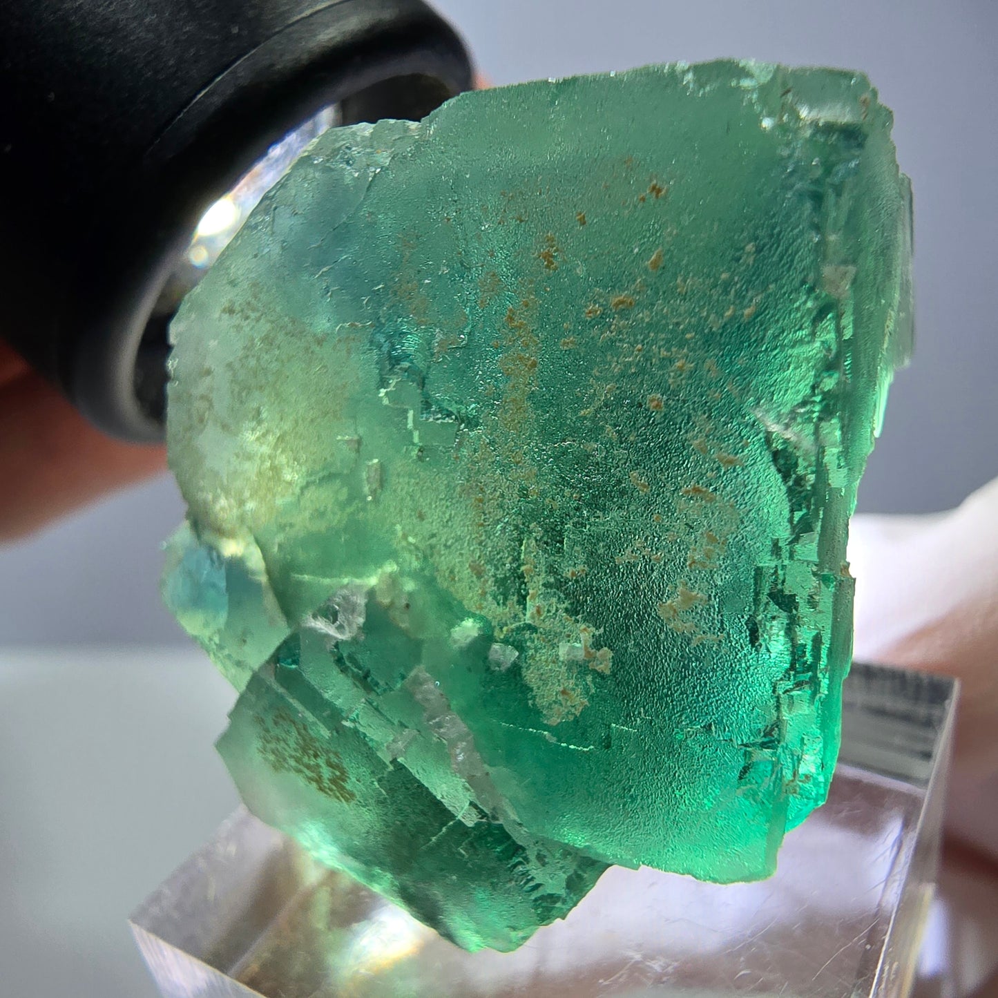 Spécimen de cube de fluorite fantôme, vert parqueté Okorusu, Namibie 32*32*24mm 