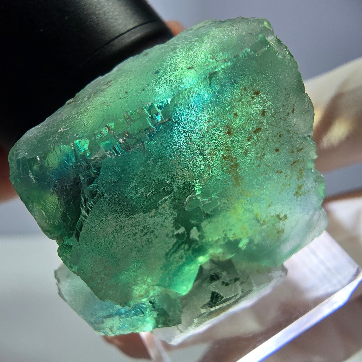 Spécimen de cube de fluorite fantôme, vert parqueté Okorusu, Namibie 32*32*24mm 