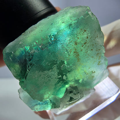 Spécimen de cube de fluorite fantôme, vert parqueté Okorusu, Namibie 32*32*24mm 