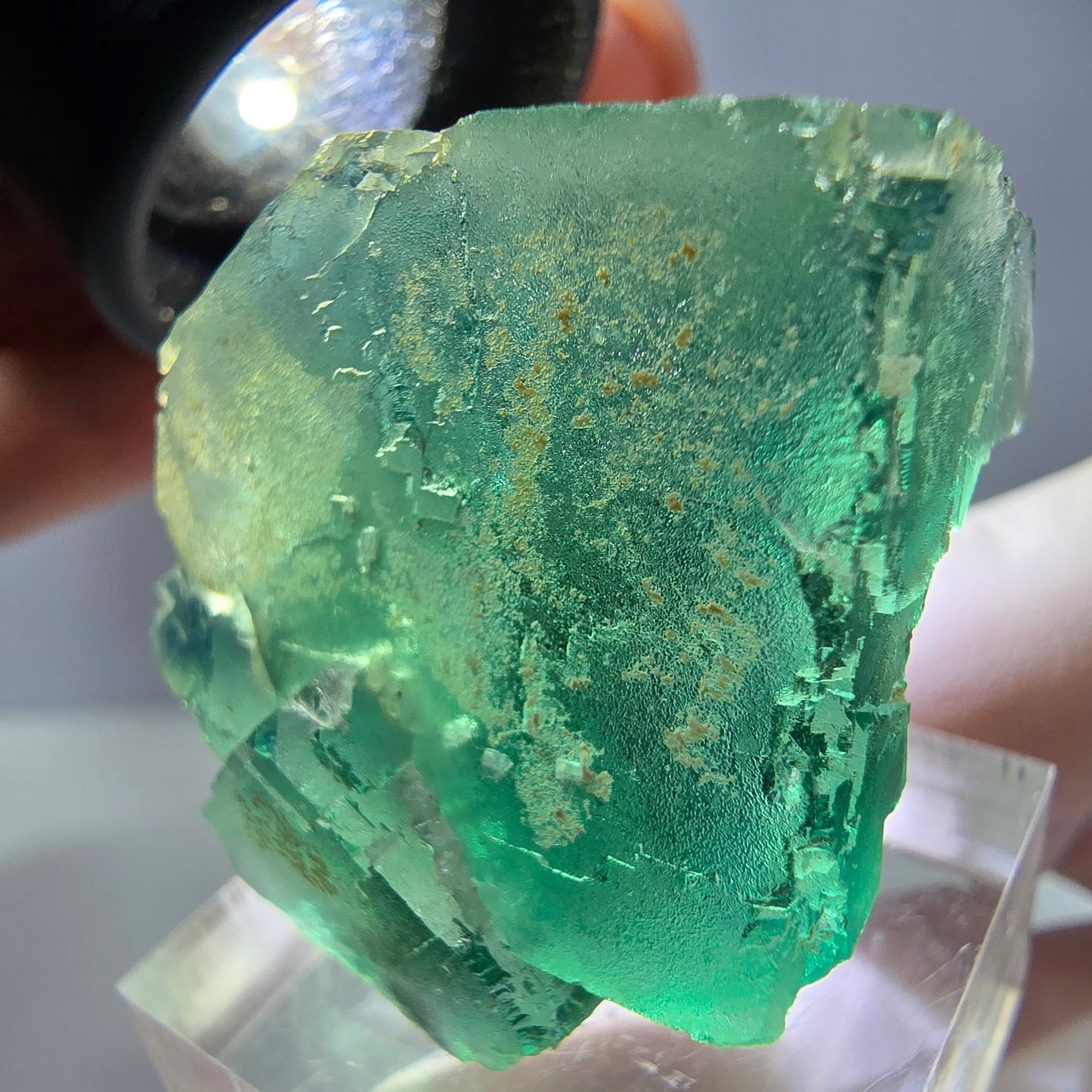 Spécimen de cube de fluorite fantôme, vert parqueté Okorusu, Namibie 32*32*24mm 