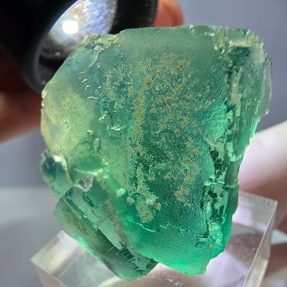 Spécimen de cube de fluorite fantôme, vert parqueté Okorusu, Namibie 32*32*24mm 
