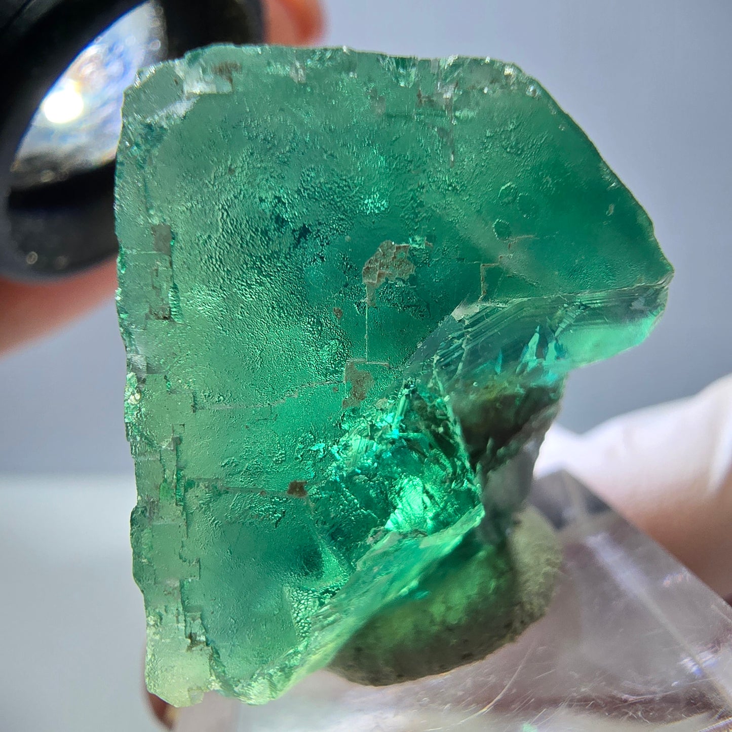 Spécimen de cube de fluorite fantôme, vert parqueté Okorusu, Namibie 32*32*24mm 