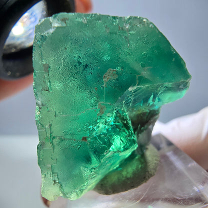 Spécimen de cube de fluorite fantôme, vert parqueté Okorusu, Namibie 32*32*24mm 