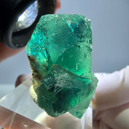 Spécimen de cube de fluorite fantôme, vert parqueté Okorusu, Namibie 32*32*24mm 