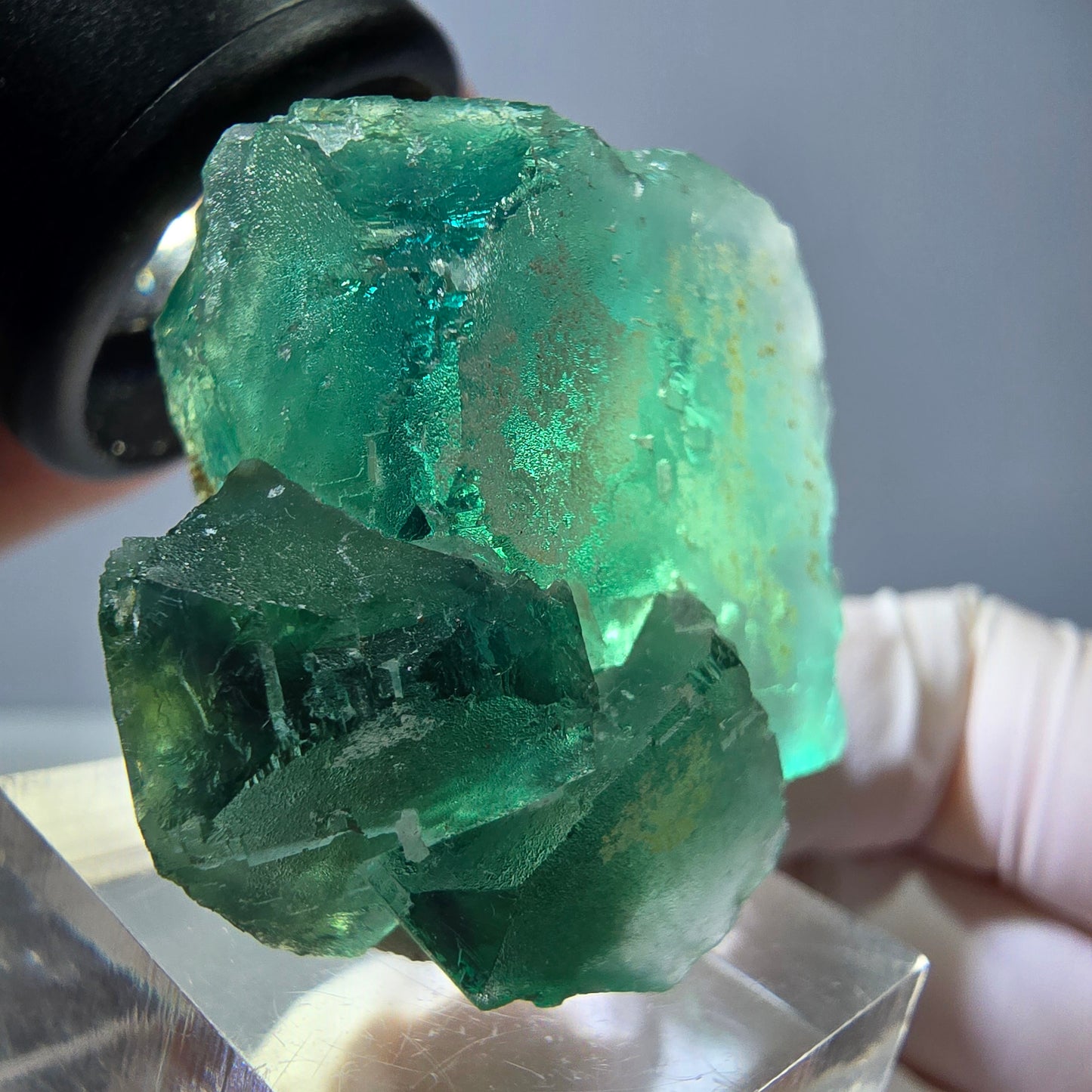 Spécimen de cube de fluorite fantôme, vert parqueté Okorusu, Namibie 32*32*24mm 