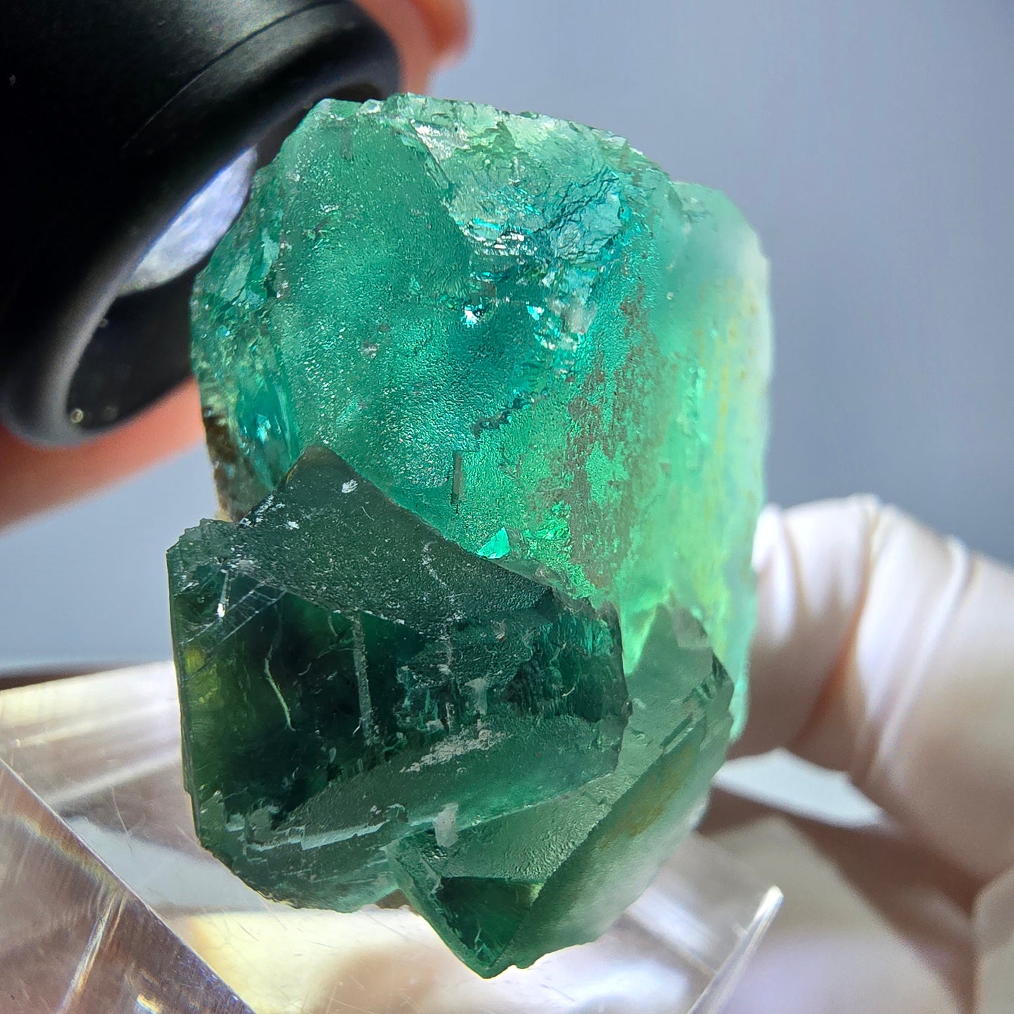 Spécimen de cube de fluorite fantôme, vert parqueté Okorusu, Namibie 32*32*24mm 