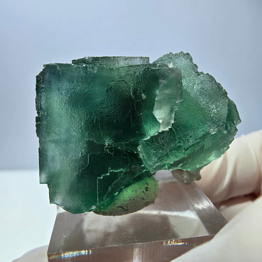 Spécimen de cube de fluorite fantôme, vert parqueté Okorusu, Namibie 34*34*30mm 