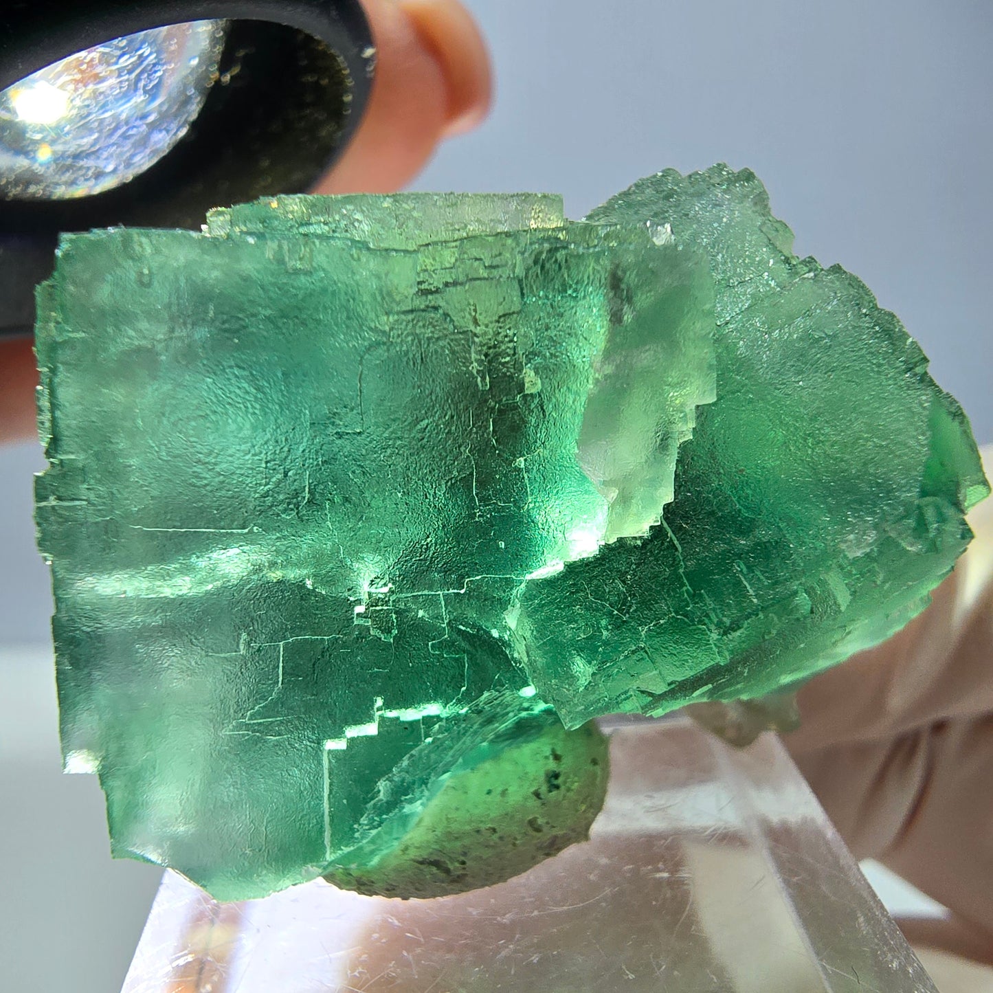 Spécimen de cube de fluorite fantôme, vert parqueté Okorusu, Namibie 34*34*30mm 