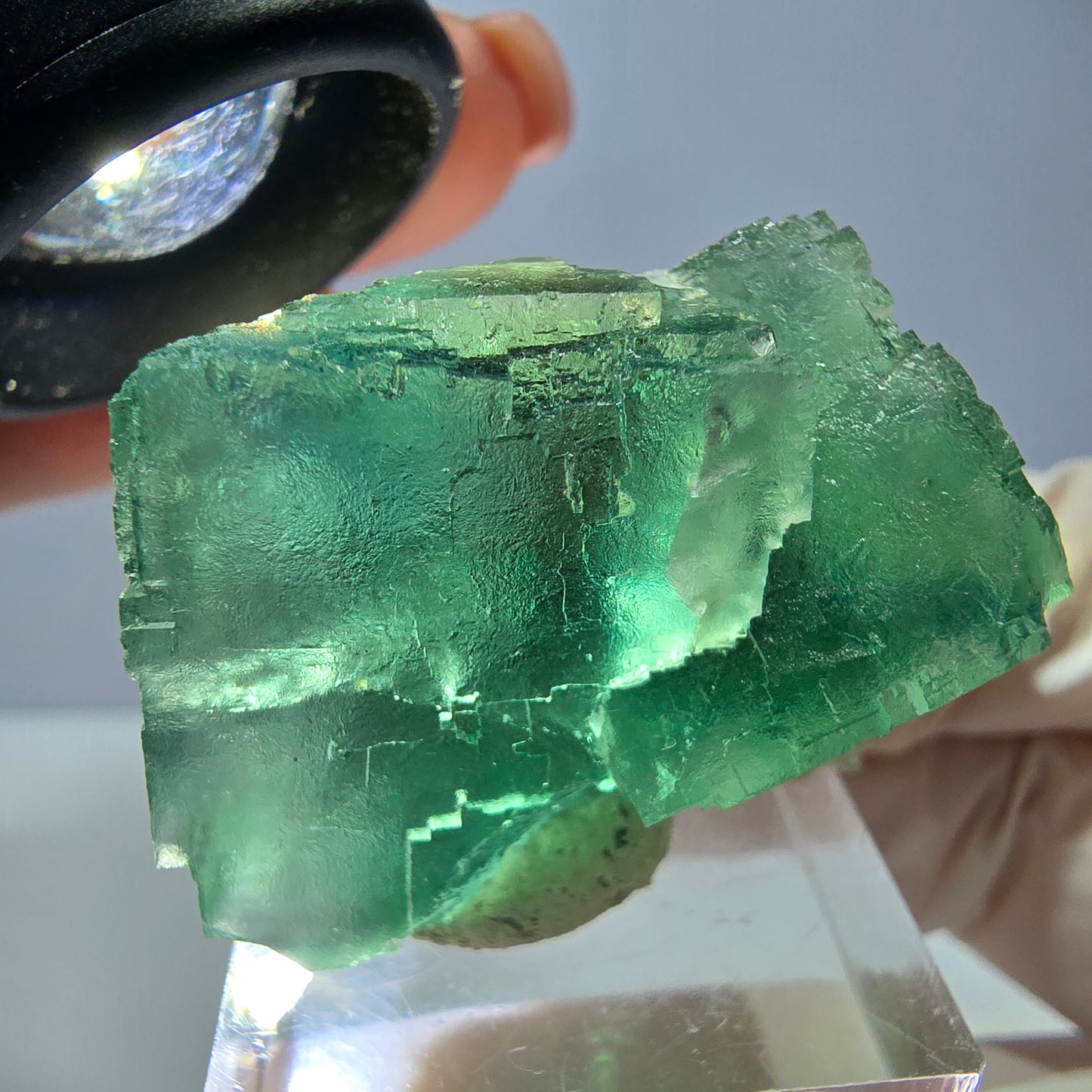 Spécimen de cube de fluorite fantôme, vert parqueté Okorusu, Namibie 34*34*30mm 