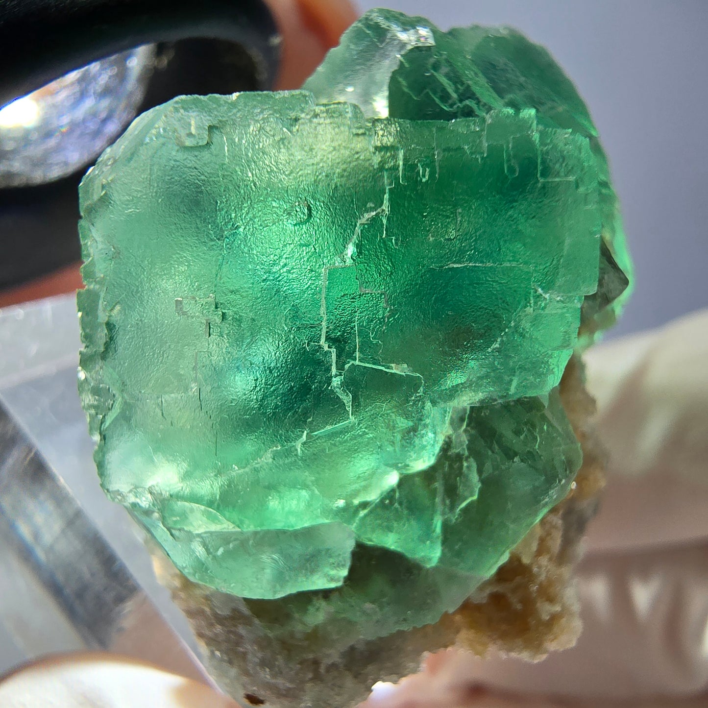 Spécimen de cube de fluorite fantôme, vert parqueté Okorusu, Namibie 34*34*30mm 