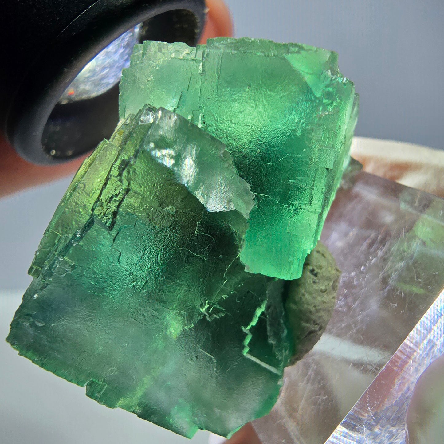 Spécimen de cube de fluorite fantôme, vert parqueté Okorusu, Namibie 34*34*30mm 
