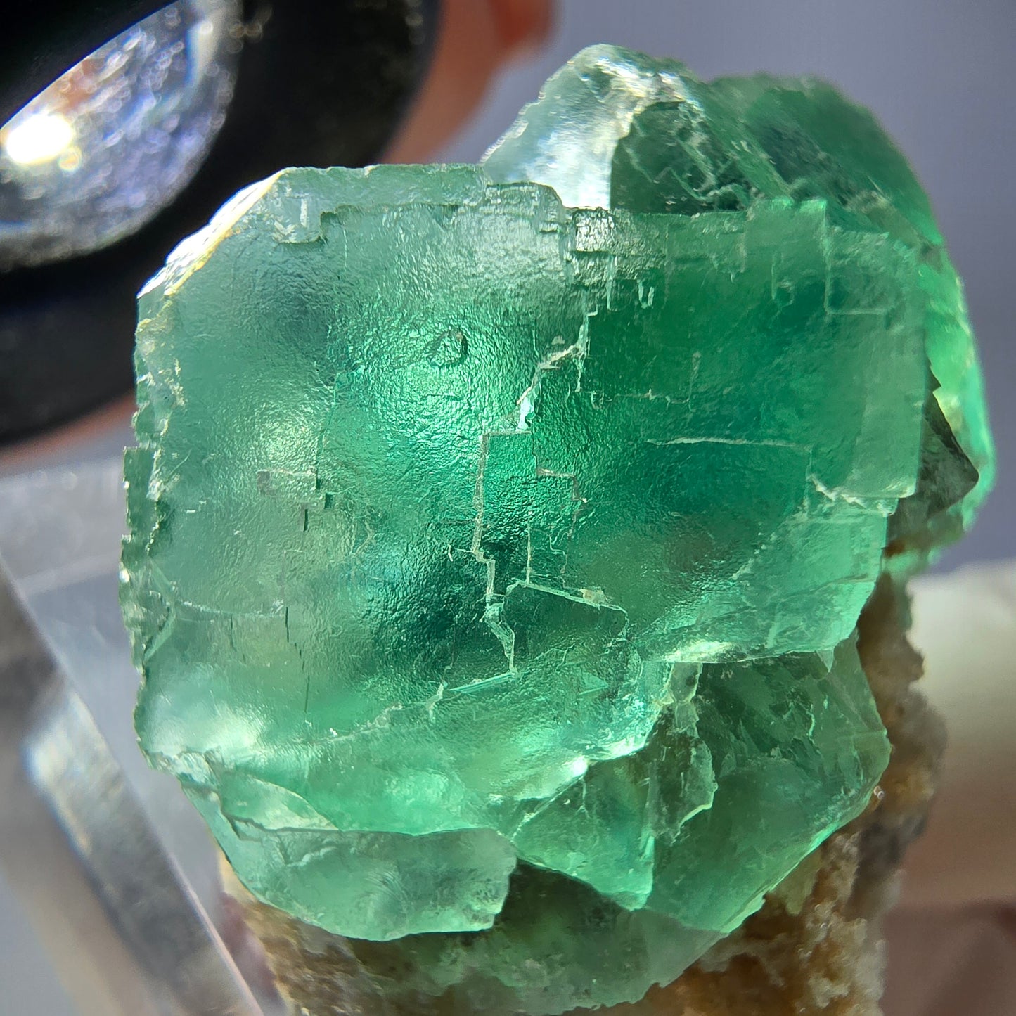 Spécimen de cube de fluorite fantôme, vert parqueté Okorusu, Namibie 34*34*30mm 