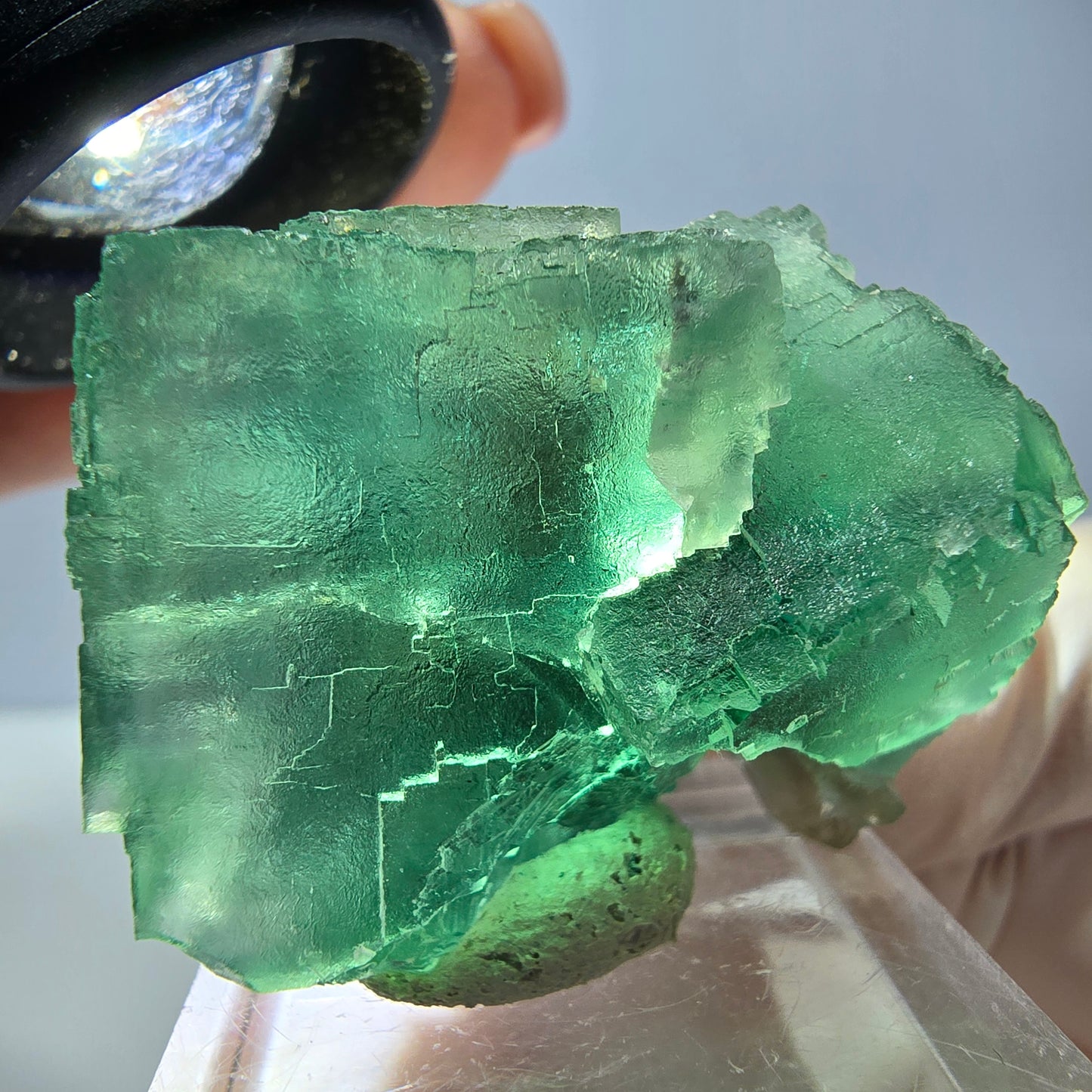Spécimen de cube de fluorite fantôme, vert parqueté Okorusu, Namibie 34*34*30mm 