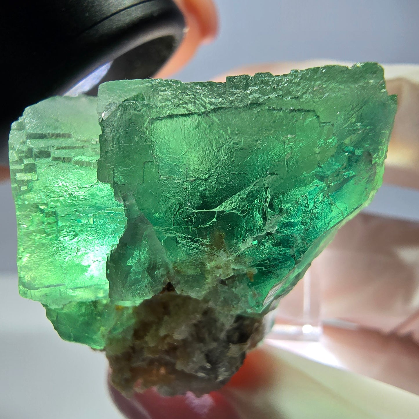 Spécimen de cube de fluorite fantôme, vert parqueté Okorusu, Namibie 34*34*30mm 